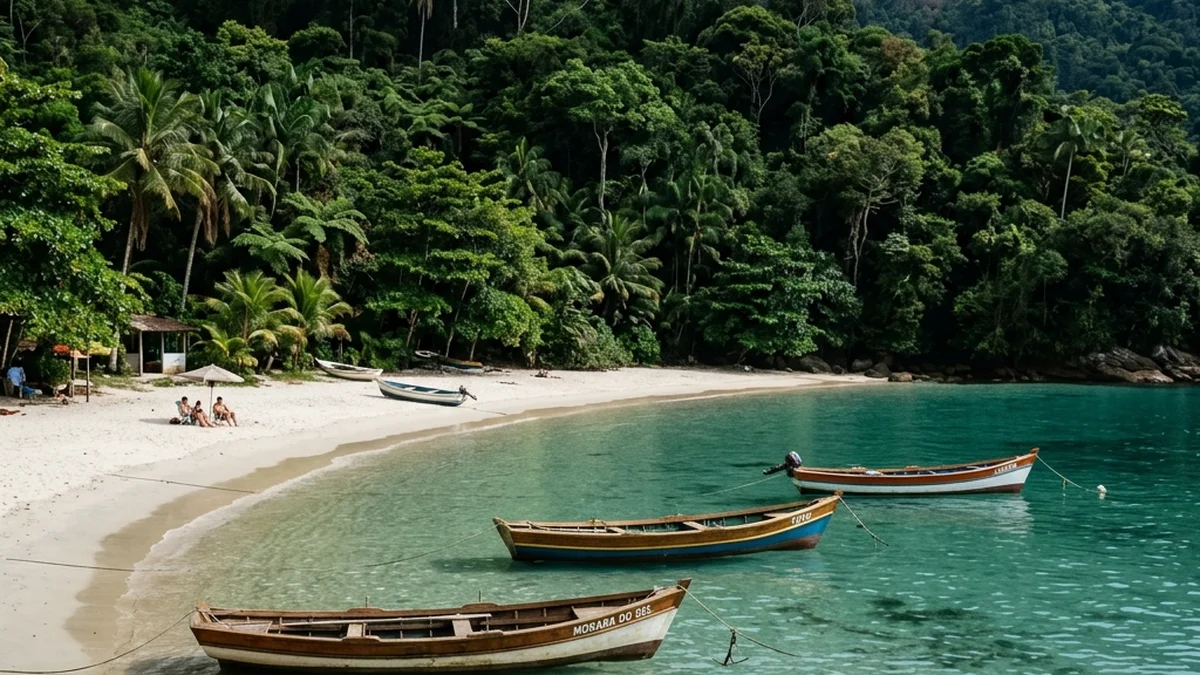 Praia isolada cercada por Mata Atlântica verdejante no litoral do Sudeste do Brasil, com águas calmas e transparentes